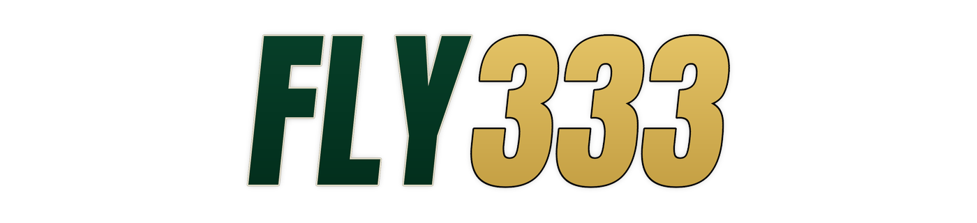 fly333 Logo